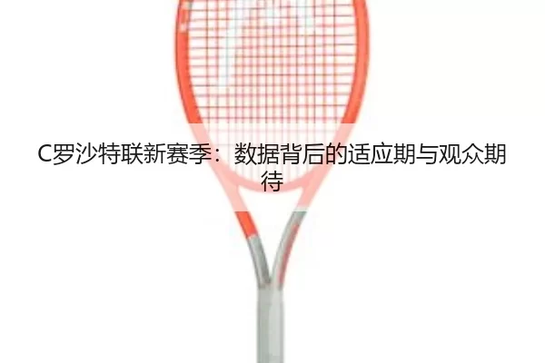 luo-sha-te-lian-xin-sai-ji-shu-ju-bei-hou-de-shi-ying-qi-yu-guan-zhong-qi-dai-2-715.jpg