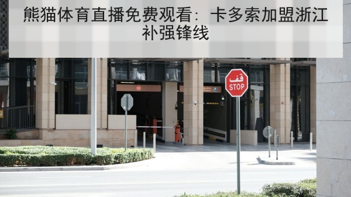 熊猫体育直播免费观看: 卡多索加盟浙江补强锋线